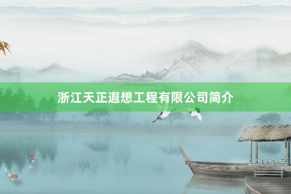 浙江天正遐想工程有限公司简介